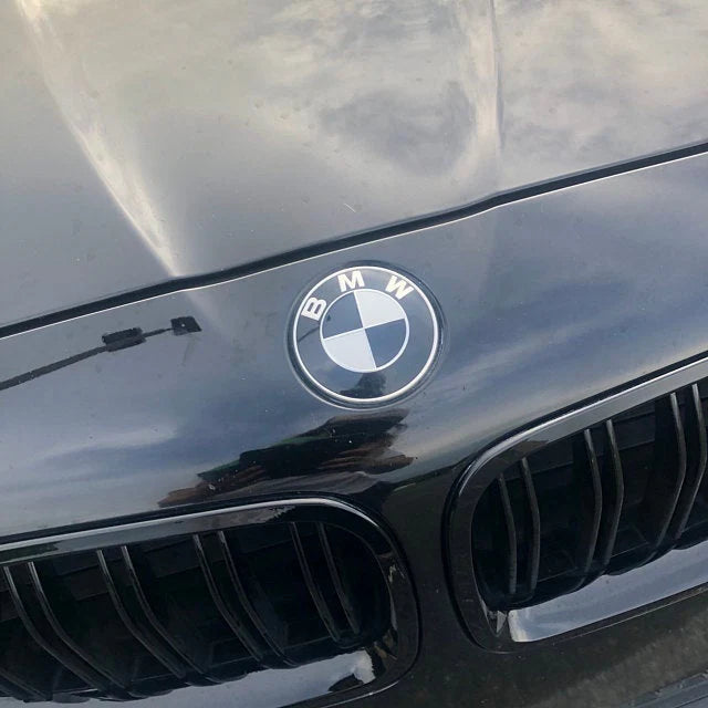Panser emblem sort/blå
